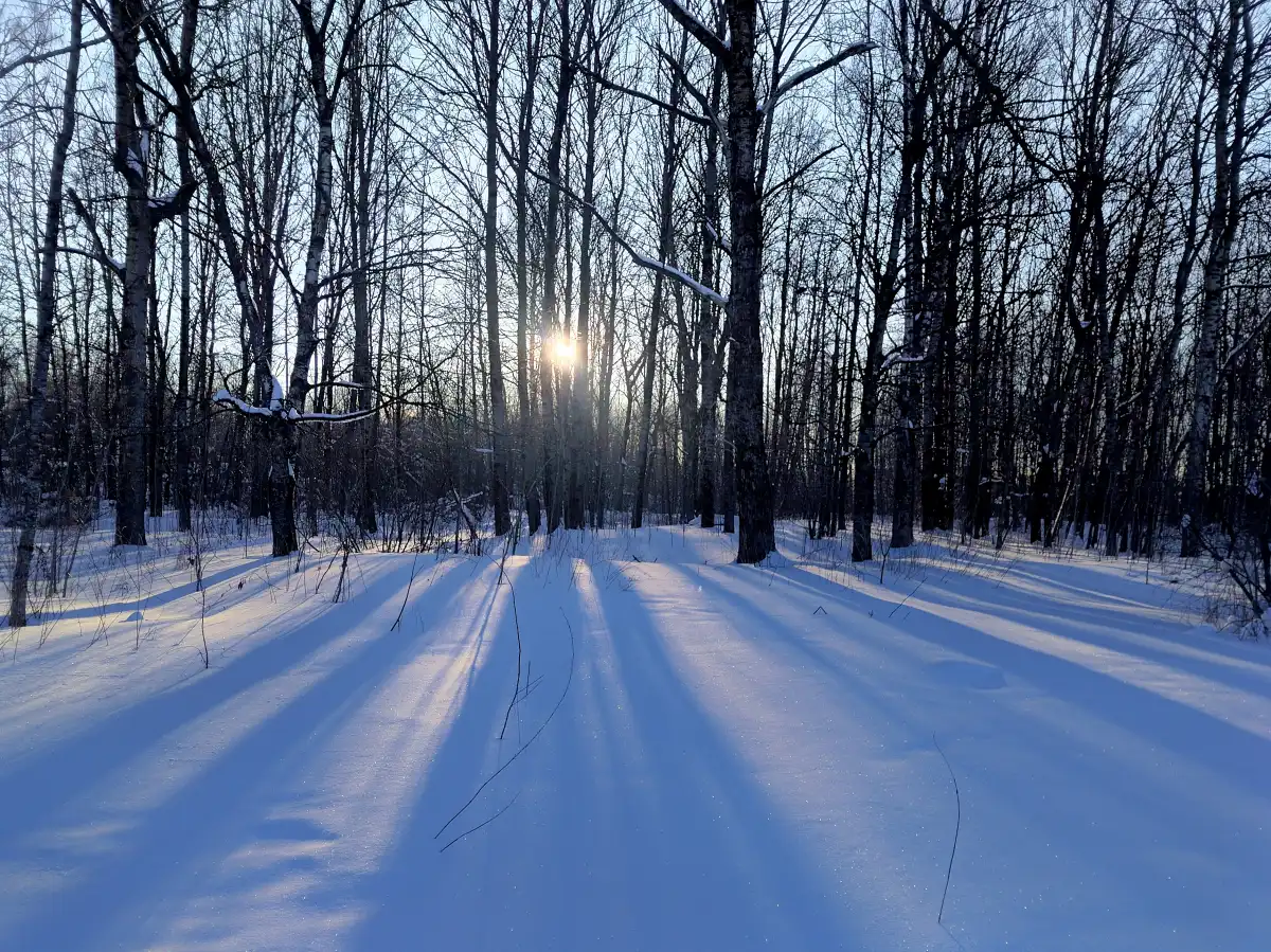 Завтра, 17 февраля, ночью мороз в регионе будет достигать 20-25 градусов, местами до 28.