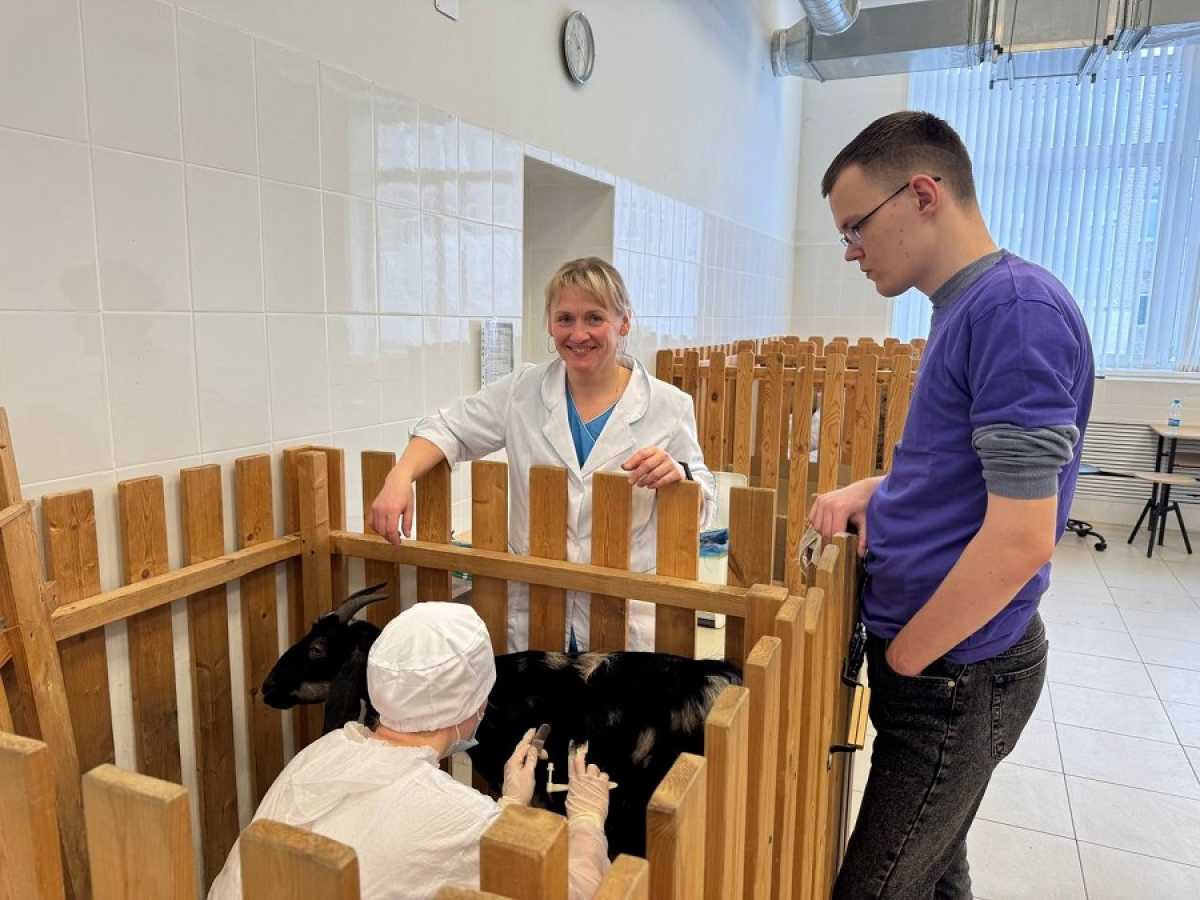 В профильном ведомстве отмечают, конкурсанты, успешно завершившие соревнования, могут пройти стажировку или получить предложение о трудоустройстве на предприятиях-партнерах.