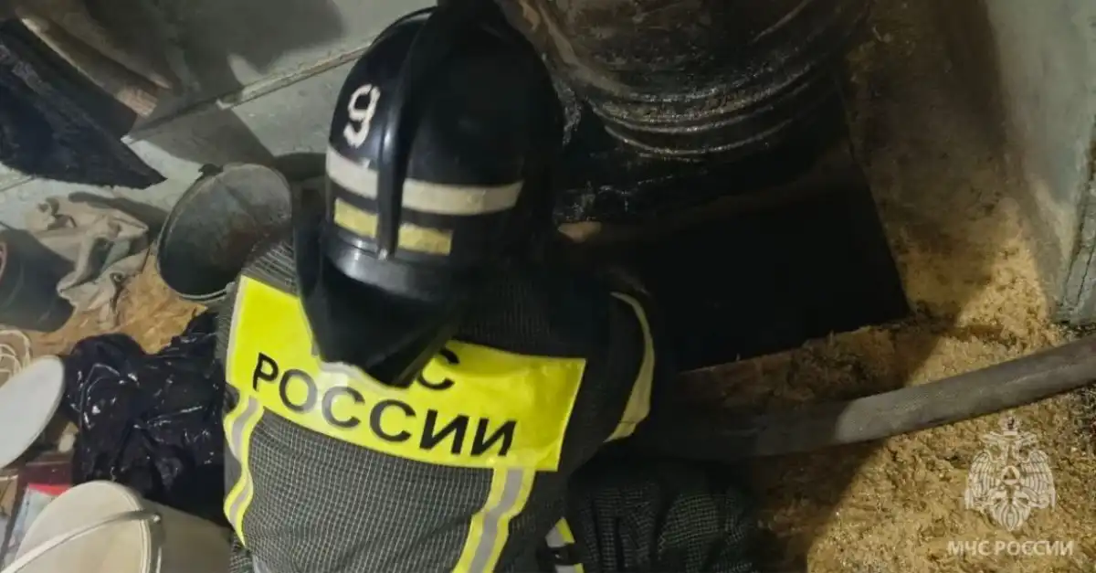 Причины пожаров устанавливают органы дознания.