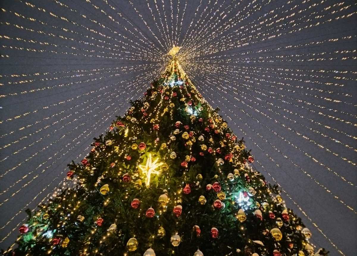 В Хвойной хотят создать интерактивный музей новогодних традиций.