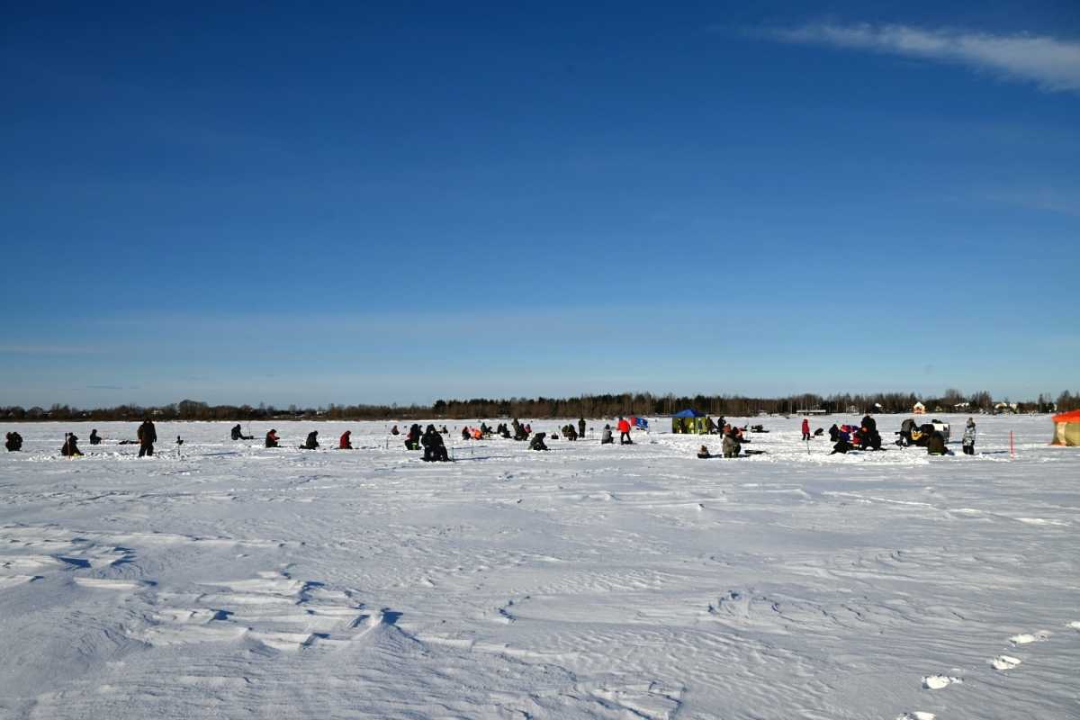 Правила едины для всего Западного рыбохозяйственного бассейна.
