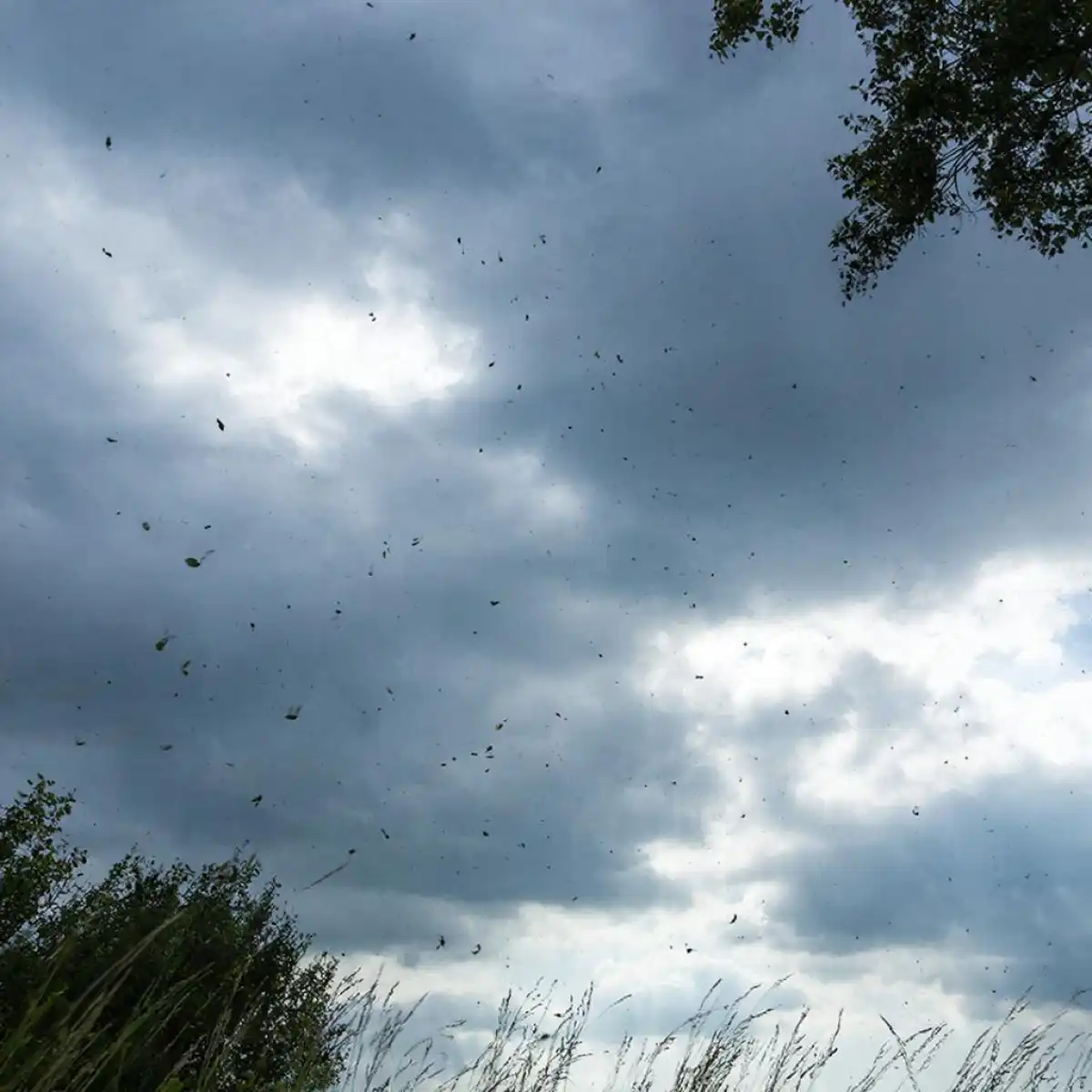 Получено предупреждение о неблагоприятных явлениях погоды.