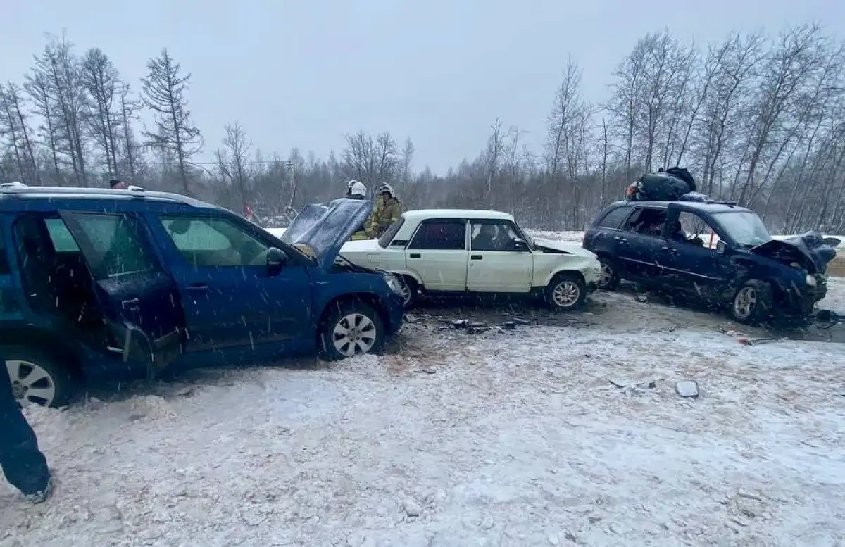 Причины и обстоятельства автоаварии выясняются.