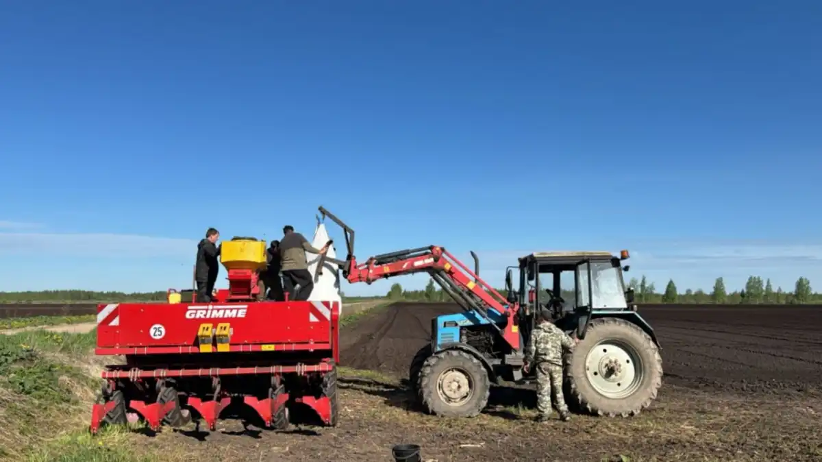 Для посевной потребуется около 2350 тонн дизельного топлива и примерно 330 тонн автомобильного бензина.