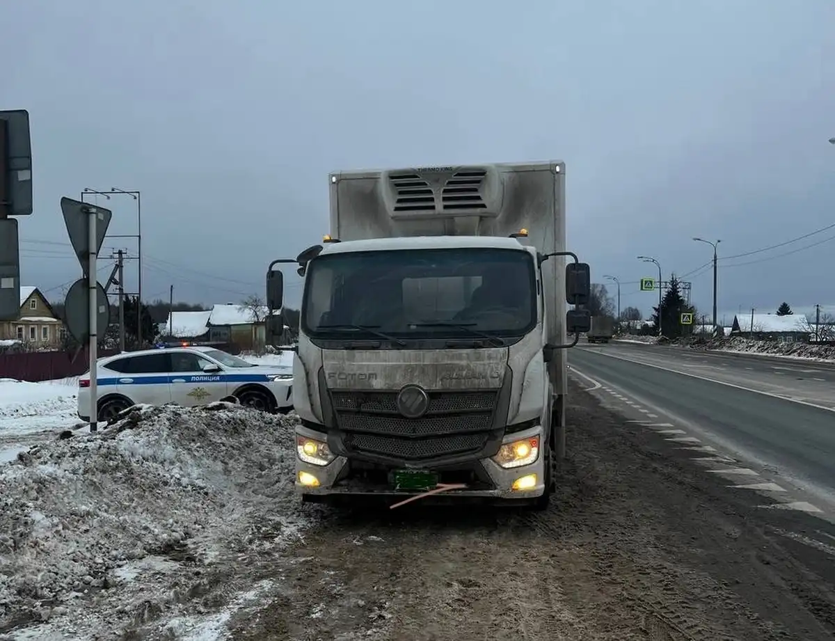 Грузовик с фармацевтической продукцией поместили на штрафстоянку.