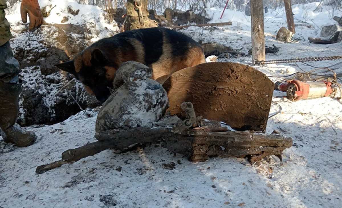 Экспедиция «Долины» начала новый сезон с разведки места падения бомбардировщика под Малой Вишерой