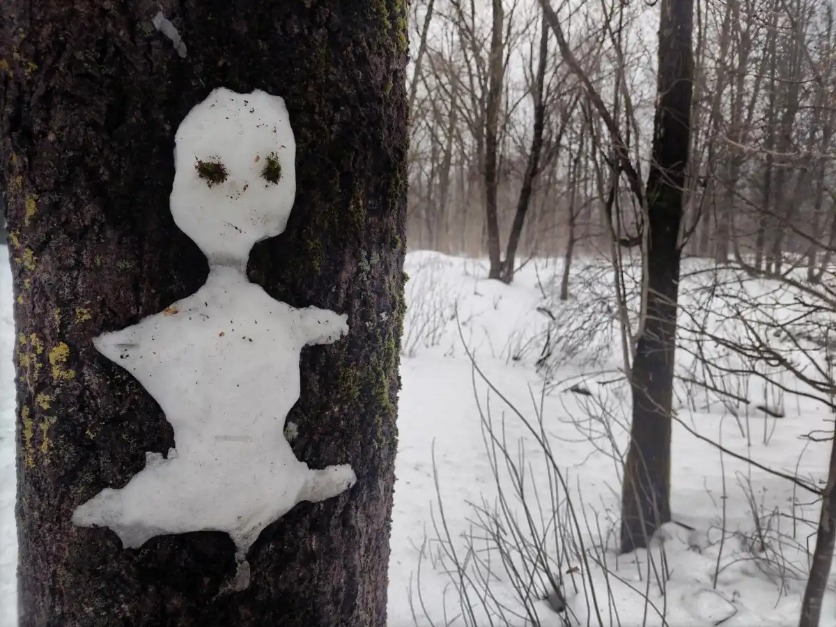 Зима в Новгородской области отступает под напором весны.