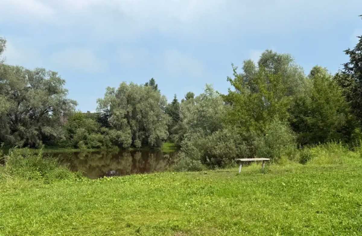 Благоустройство места купания планируют завершить к 1 октября 2026 года.