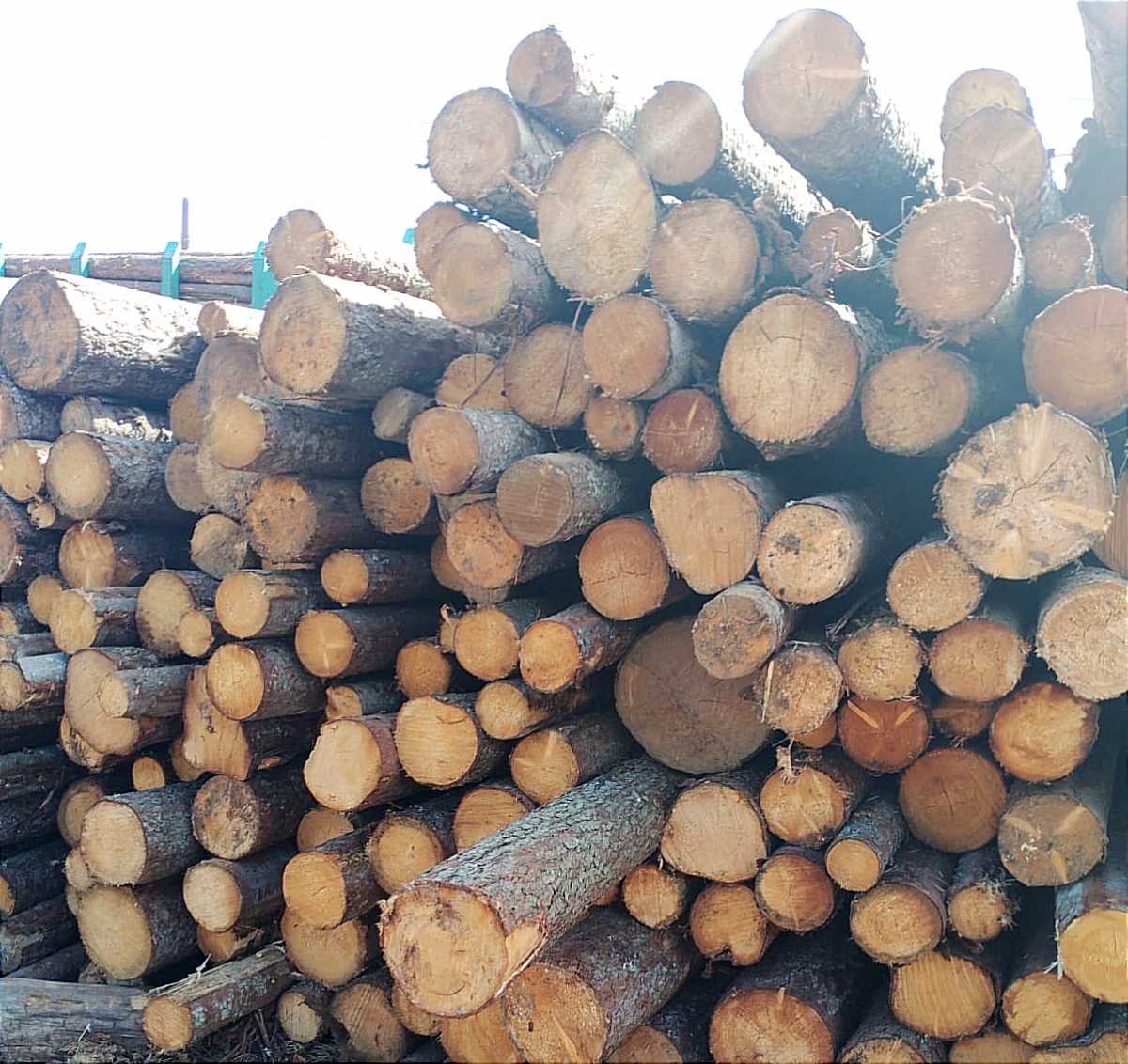 Все экспортные партии прошли лабораторный и фитосанитарный контроль.