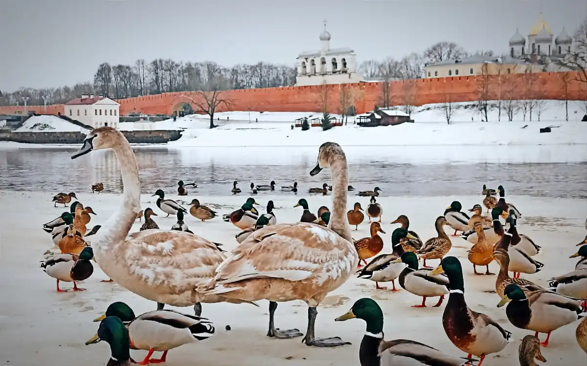 Днём 4 марта в регионе потеплеет до 6 градусов.