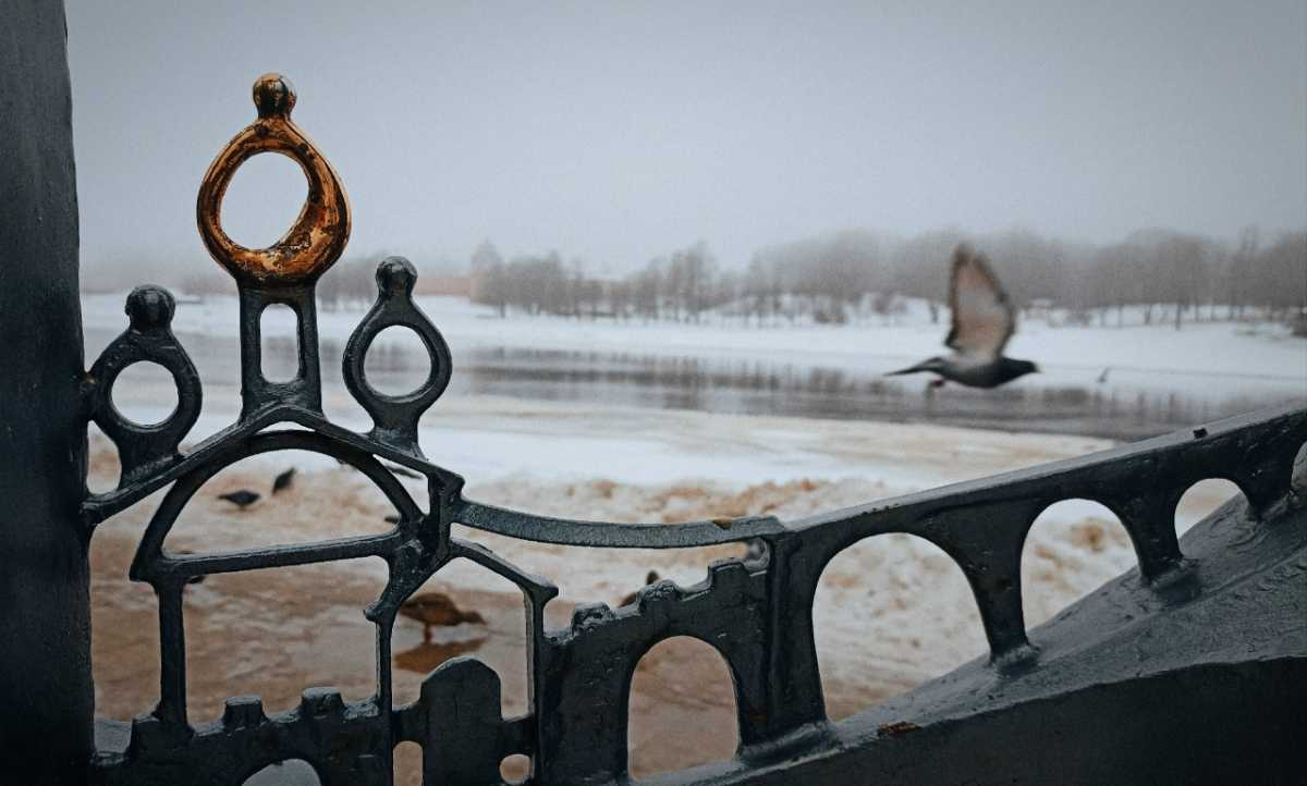 Обе встречи пройдут в рамках проекта «Искусство – это я!».