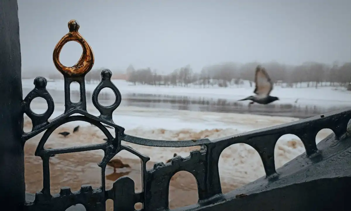 Обе встречи пройдут в рамках проекта «Искусство – это я!».