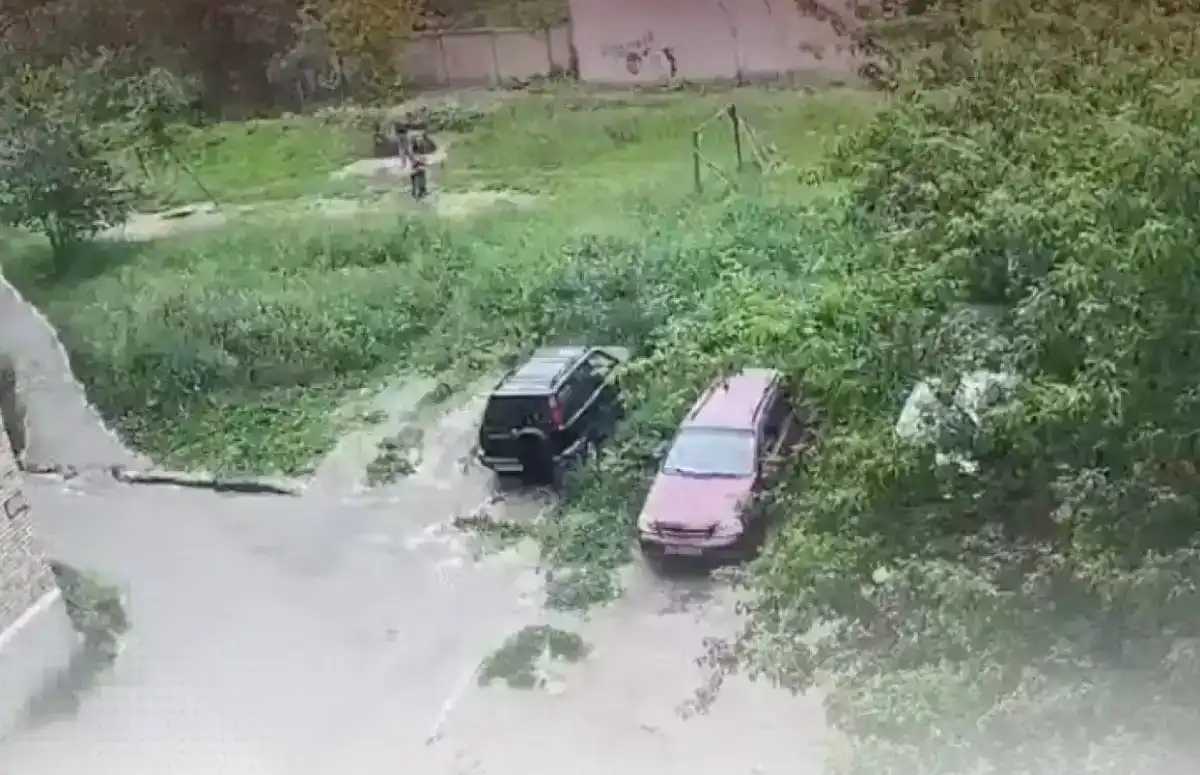 Американского стаффордширского терьера выгуливали без намордника и поводка на детской площадке.