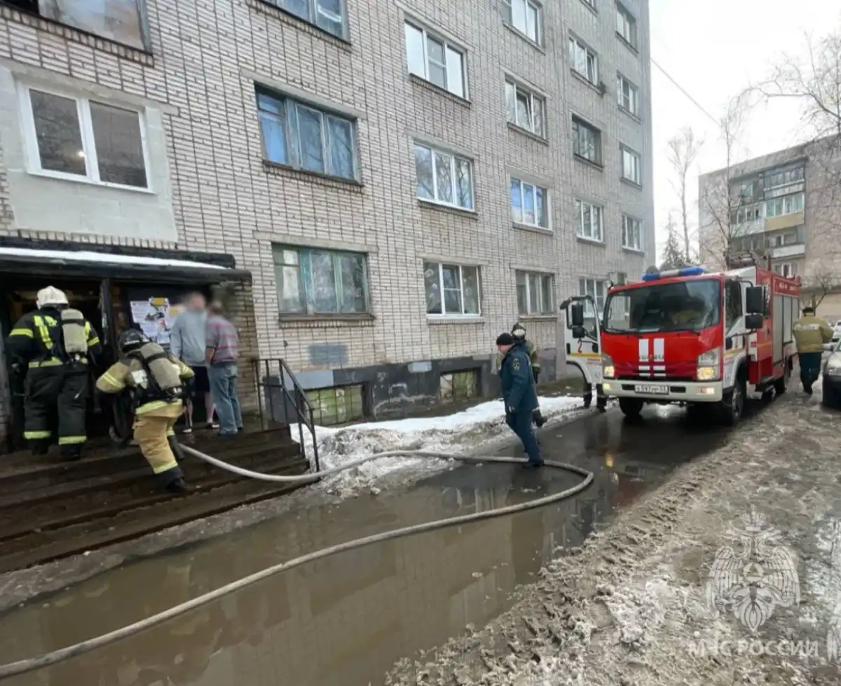 Причины пожаров устанавливают органы дознания.