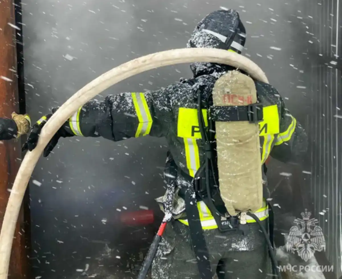 Причины пожаров устанавливают органы дознания.