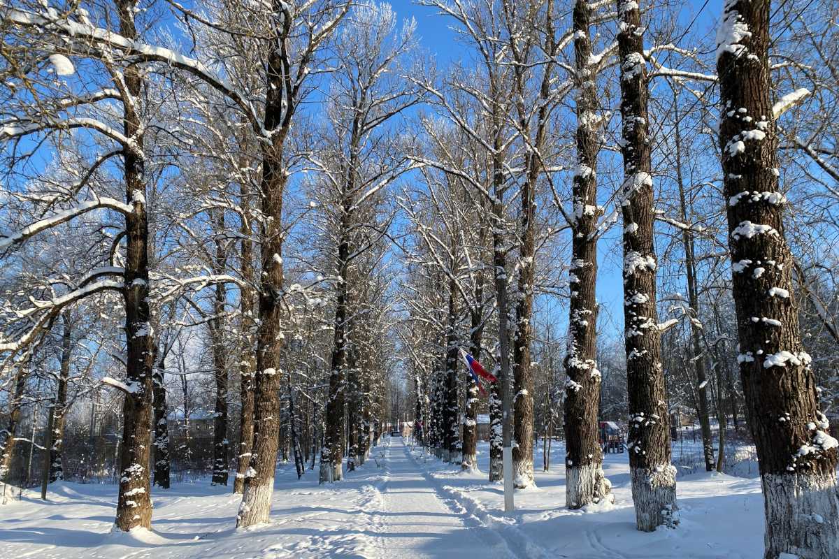 Начальный вариант концепции благоустройства парка ОЦБК разработчики представят окуловцам в конце марта.