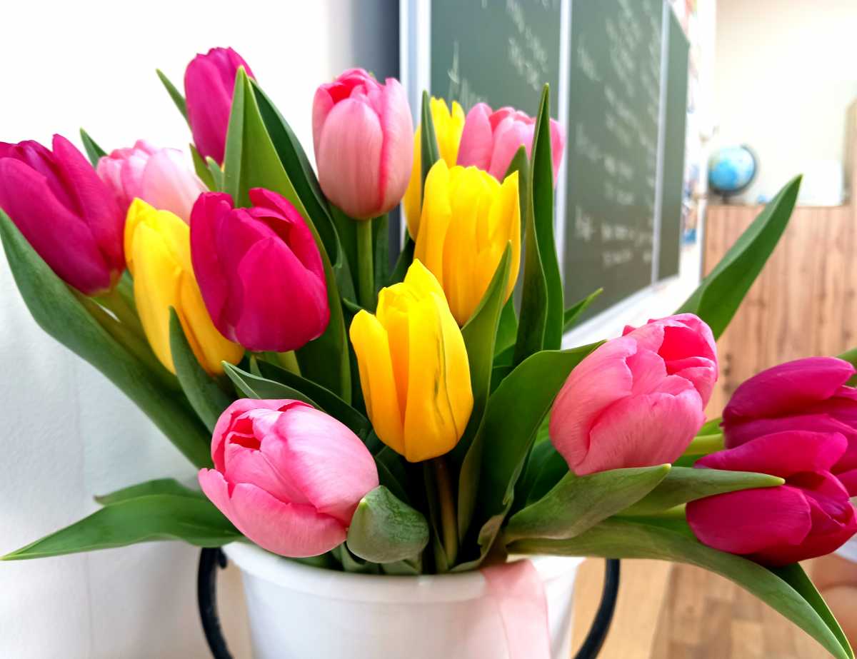 Александр Дронов поблагодарил женщин за заботу, терпение и силу характера.