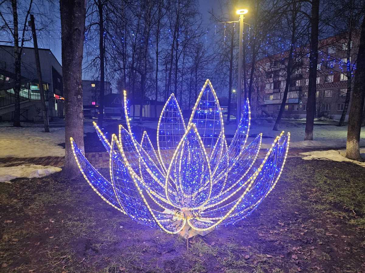 Светящийся цветок «высадил» предприниматель Виктор Бабошин.