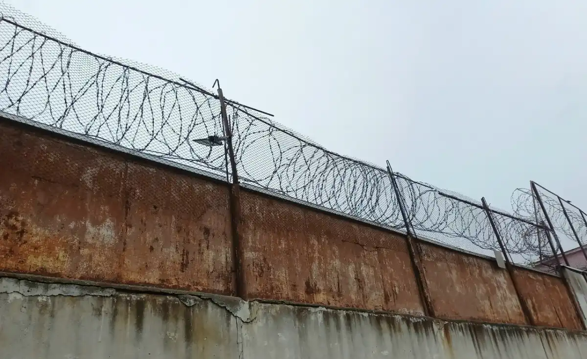 Приговором суда жителю Ленинградской области назначено наказание в виде одного года лишения свободы с отбыванием наказания в исправительной колонии строгого режима.