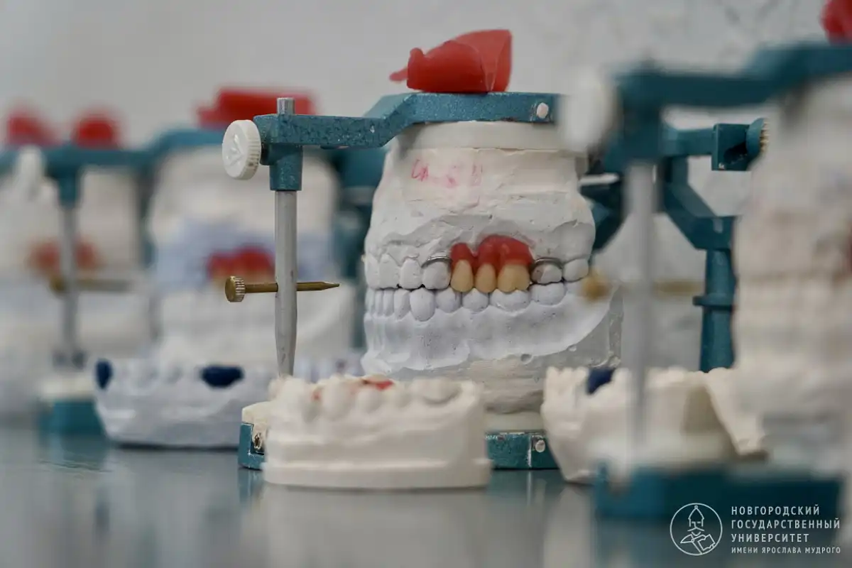 По мере появления в клиниках специалистов, прошедших системную подготовку, современные методы коррекции прикуса будут становиться более доступными для жителей Великого Новгорода и Новгородской области.