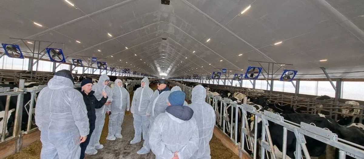 Новгородские специалисты получили возможность изучить передовые решения, внедрённые на племзаводе «Урожай».