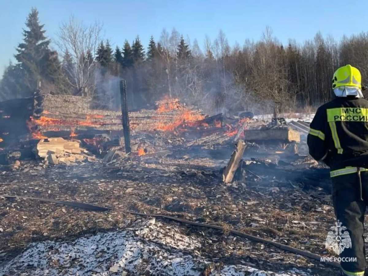 В Боровичском округе огонь уничтожил дом и постройку.