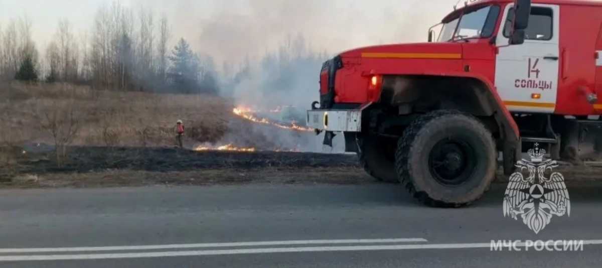 Причины пожаров устанавливают органы дознания.