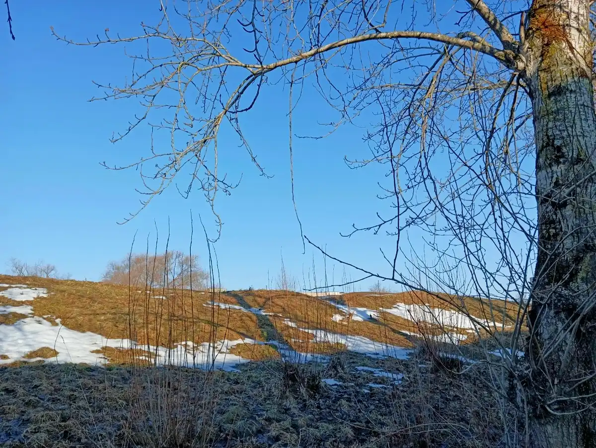 Новгородцев ожидает сухая солнечная и довольно тёплая погода.