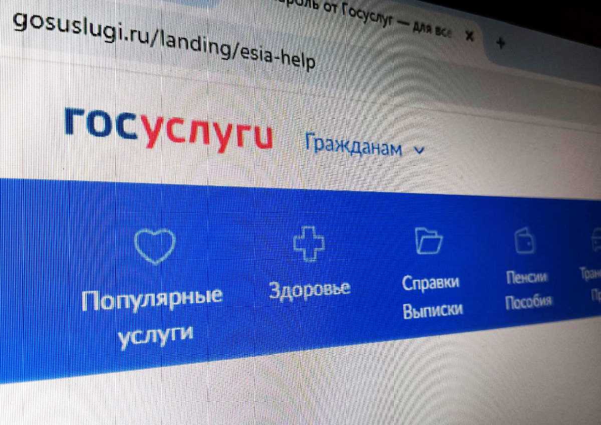 Востребованность портала госуслуг растёт с каждым годом.