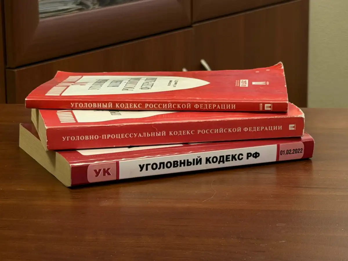 Приговор в законную силу не вступил.