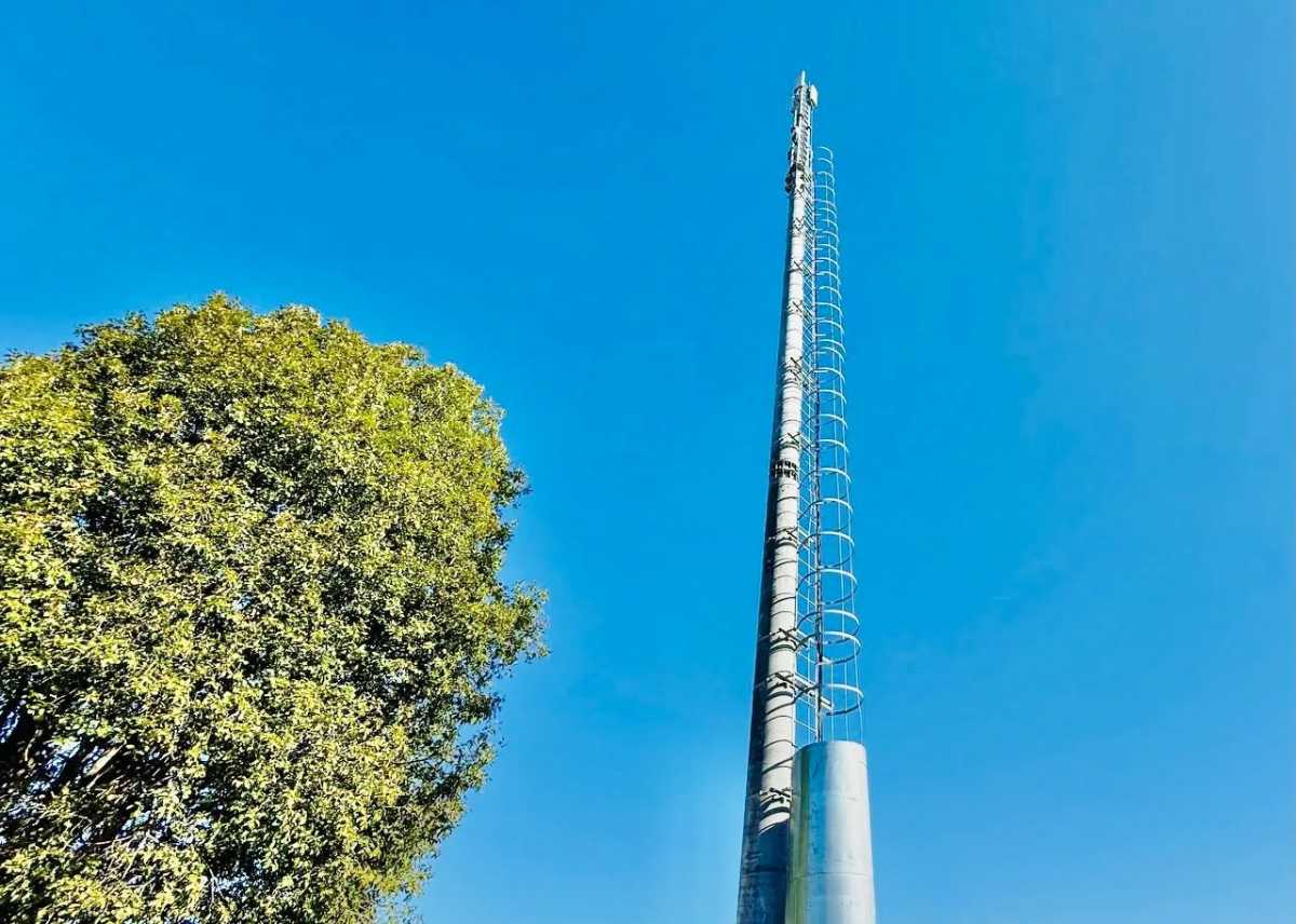 Наибольшее количество голосов набрали три деревни в Старорусском округе и одна – в Холмском.