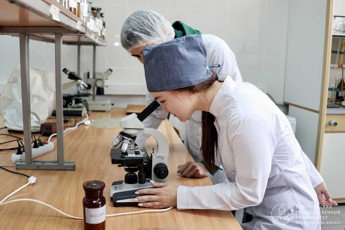 Статистический анализ оцифровки микрофотоснимков показал возможность выявления родинок с высоким риском трансформации с точностью до 93,75%.