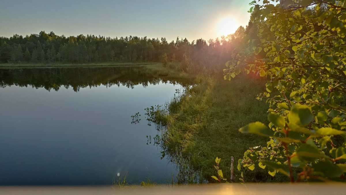 Техническое оснащение лесопожарных формирований составляет 97%.