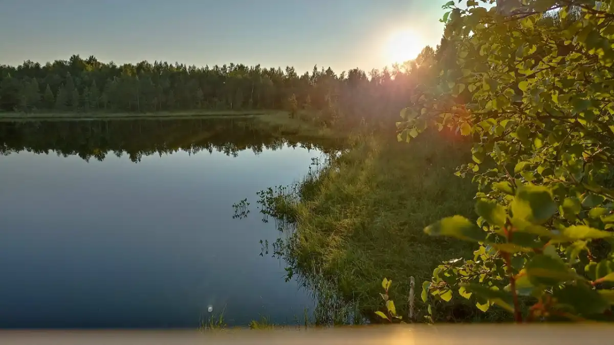 Техническое оснащение лесопожарных формирований составляет 97%.