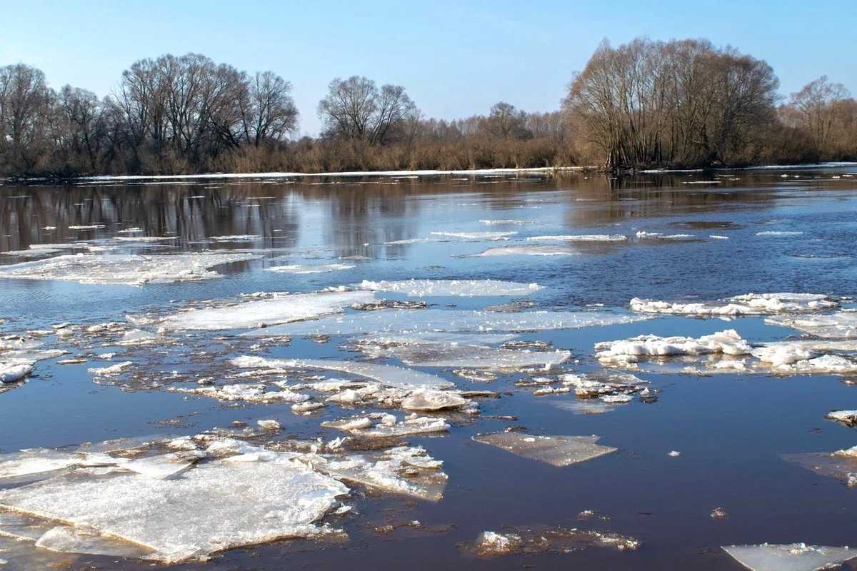 Днём дождь возможен лишь в отдельных округах, преимущественно на юго-востоке.