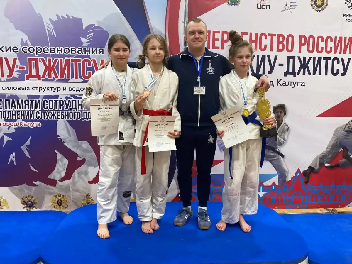 Джиу-джитсу в Новгородской области занимаются более 100 человек.