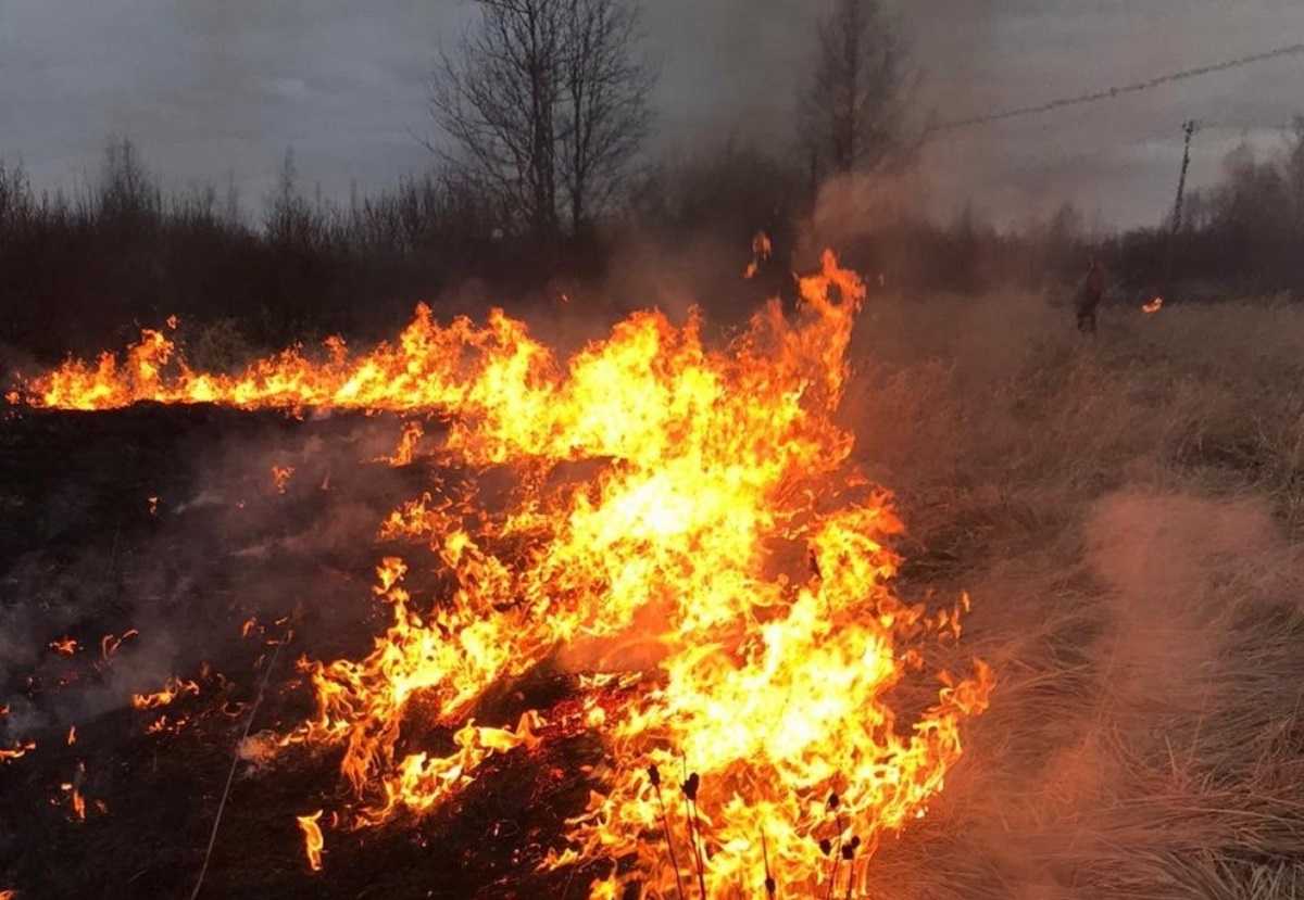 За сутки в Новгородской области горели бани, сараи, трава и мусор