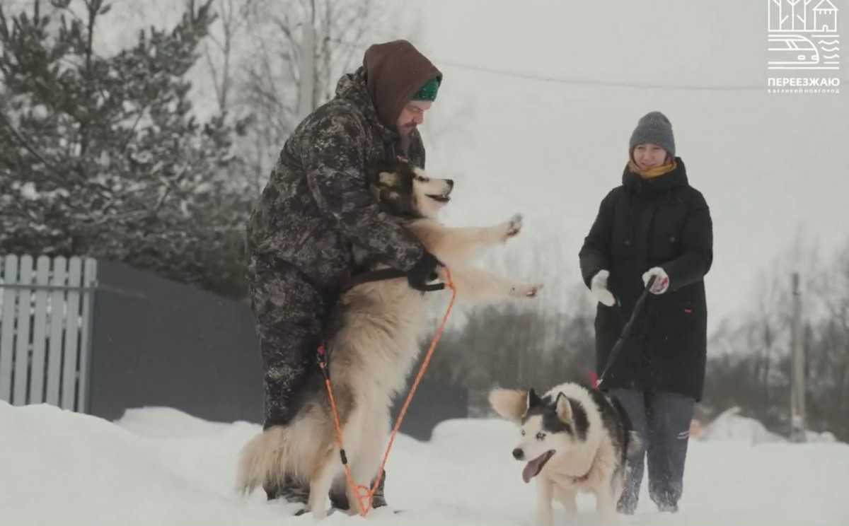 В деревне Наволок семья Двойниковых построила себе дом.