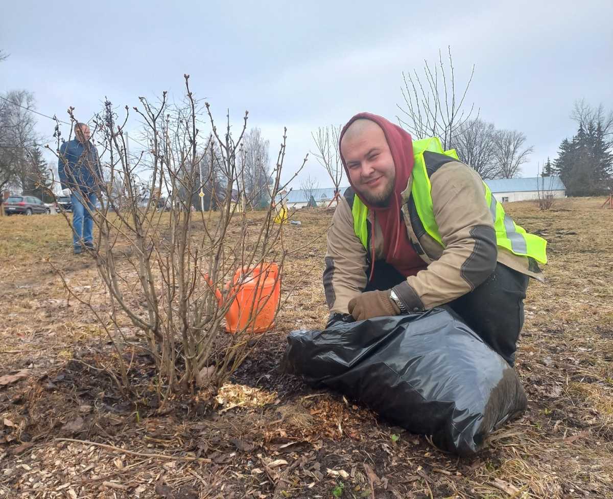 Саженцы ждёт санитарная и формирующая обрезка и опрыскивание от болезней и вредителей.