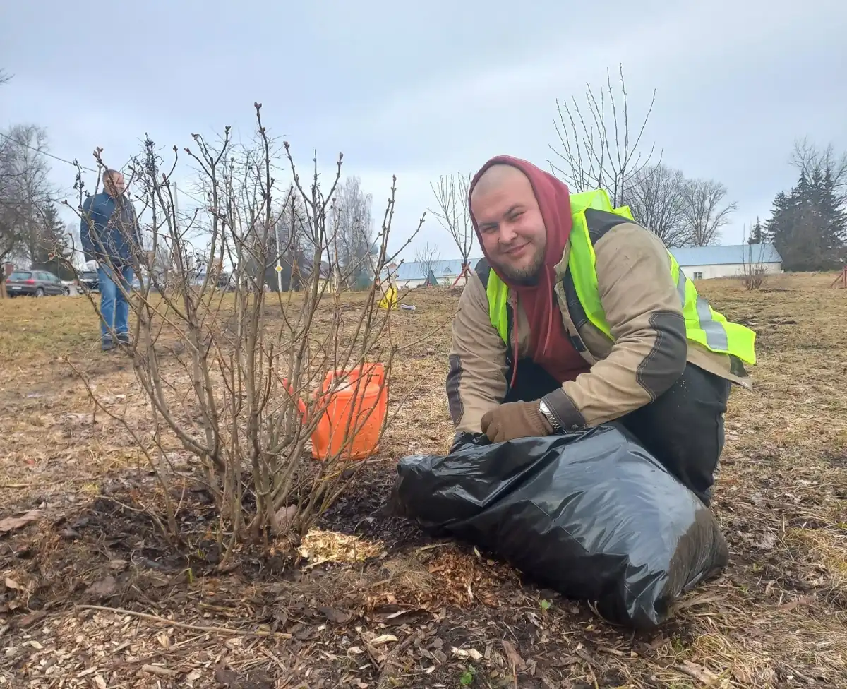 Саженцы ждёт санитарная и формирующая обрезка и опрыскивание от болезней и вредителей.