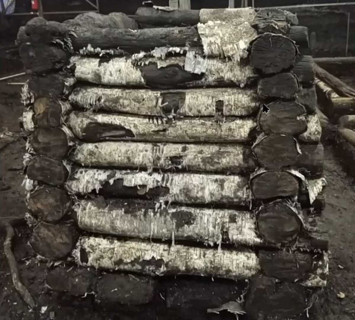 Сруб колодца сделан из неокорённых берёзовых брёвен.