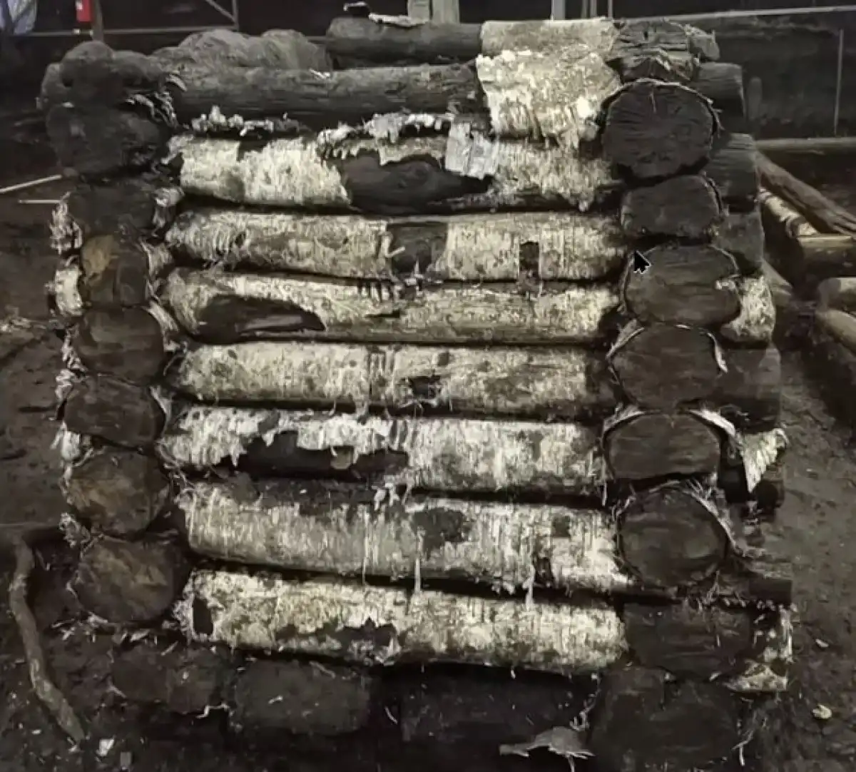 Сруб колодца сделан из неокорённых берёзовых брёвен.