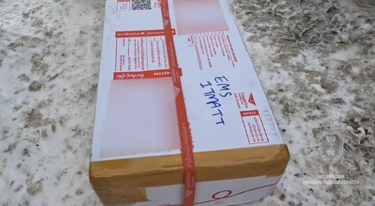 Новгородцу грозит пожизненное лишение свободы.