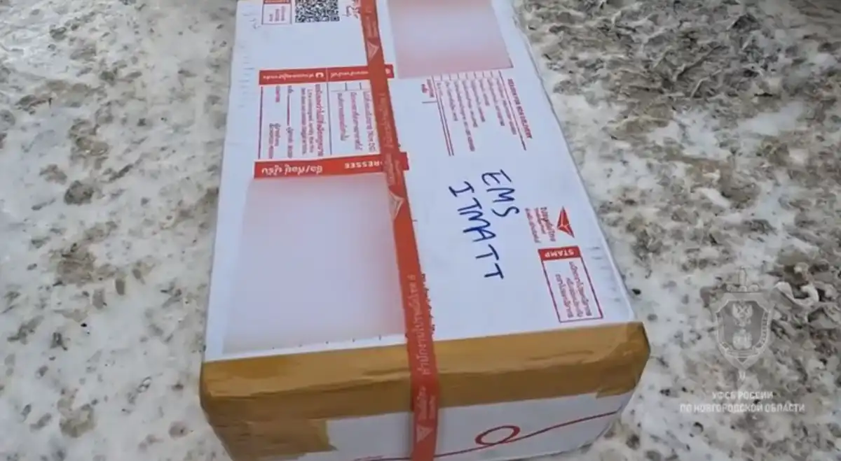 Новгородцу грозит пожизненное лишение свободы.