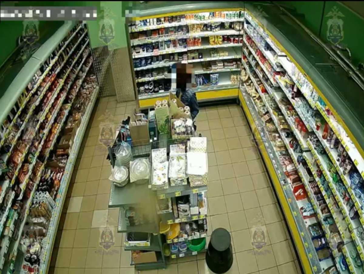 Общая сумма причинённого ущерба превысила 175 тысяч рублей.