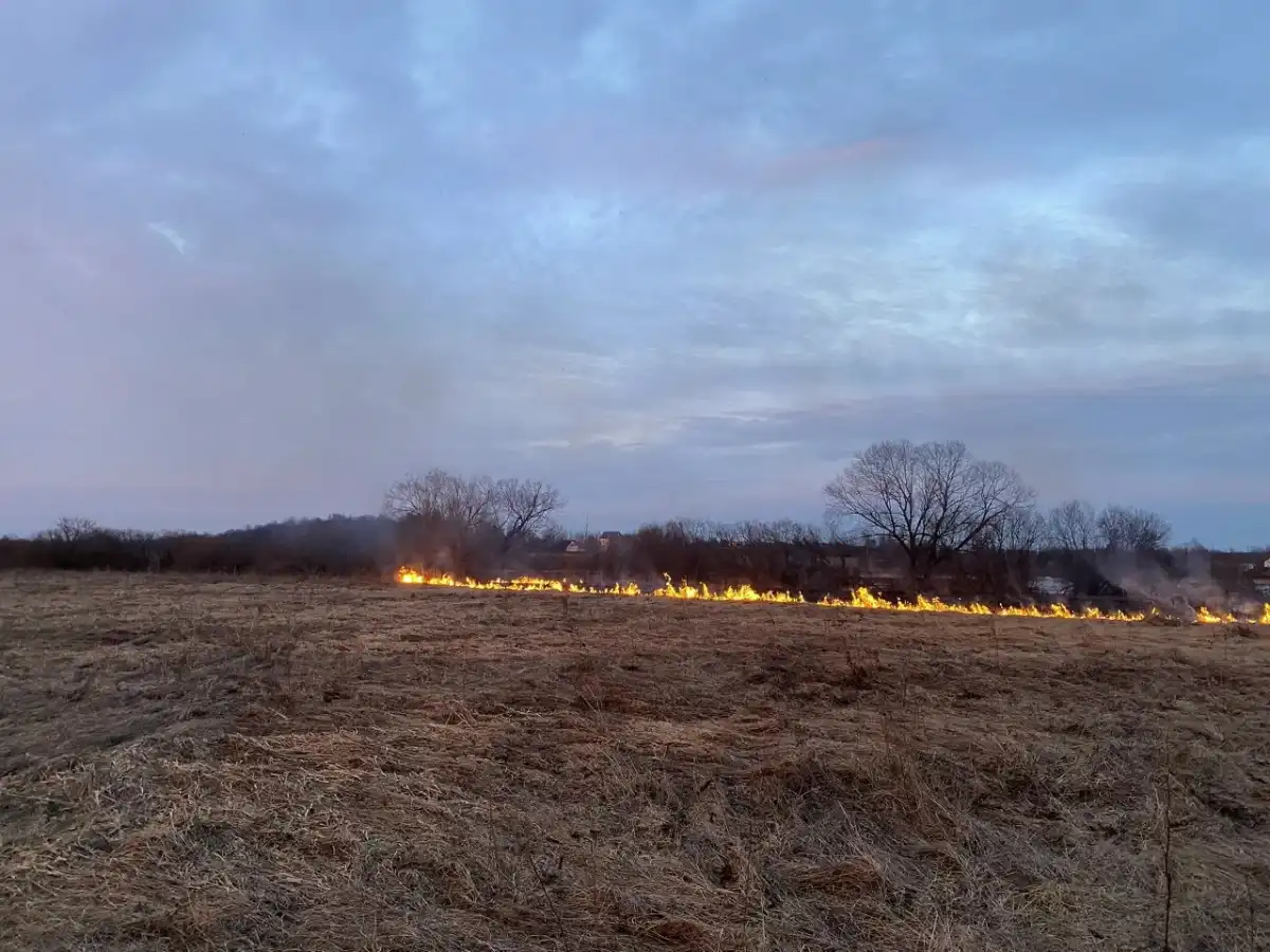 Причины пожаров устанавливают органы дознания.