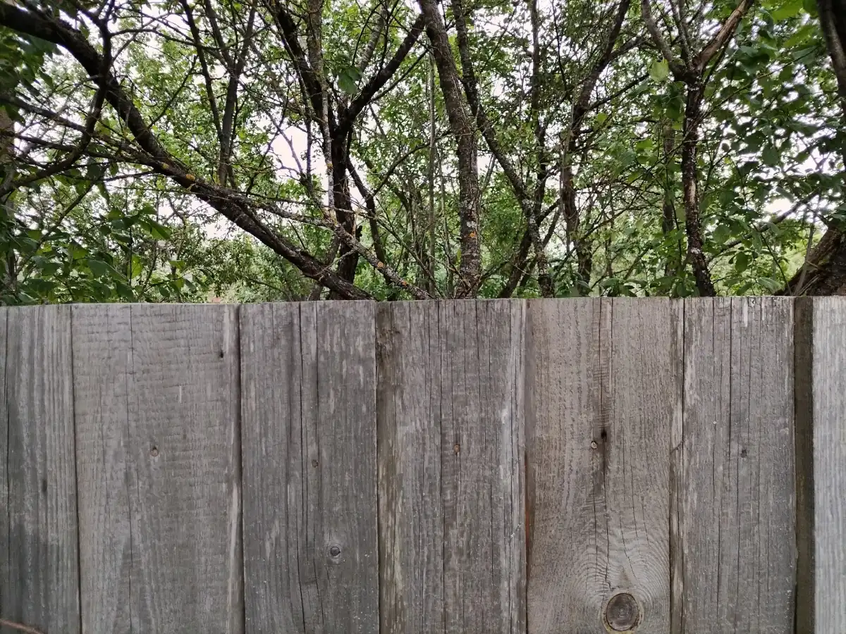 Бесплатное межевание, которое проведут в ходе комплексных кадастровых работ, поможет усилить защиту имущественных прав собственников земли.