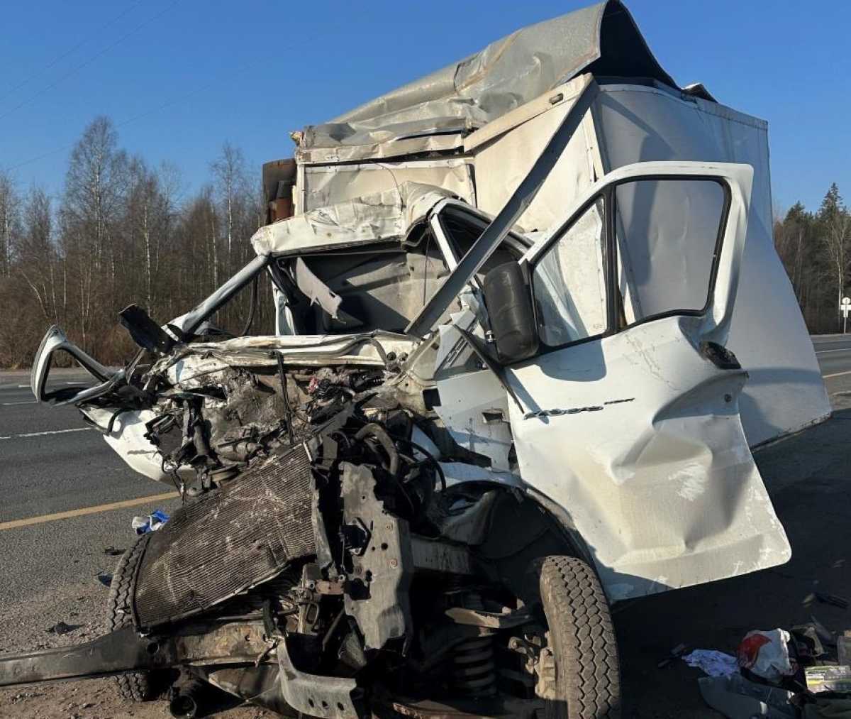 Водитель фургона получил перелом ребра.