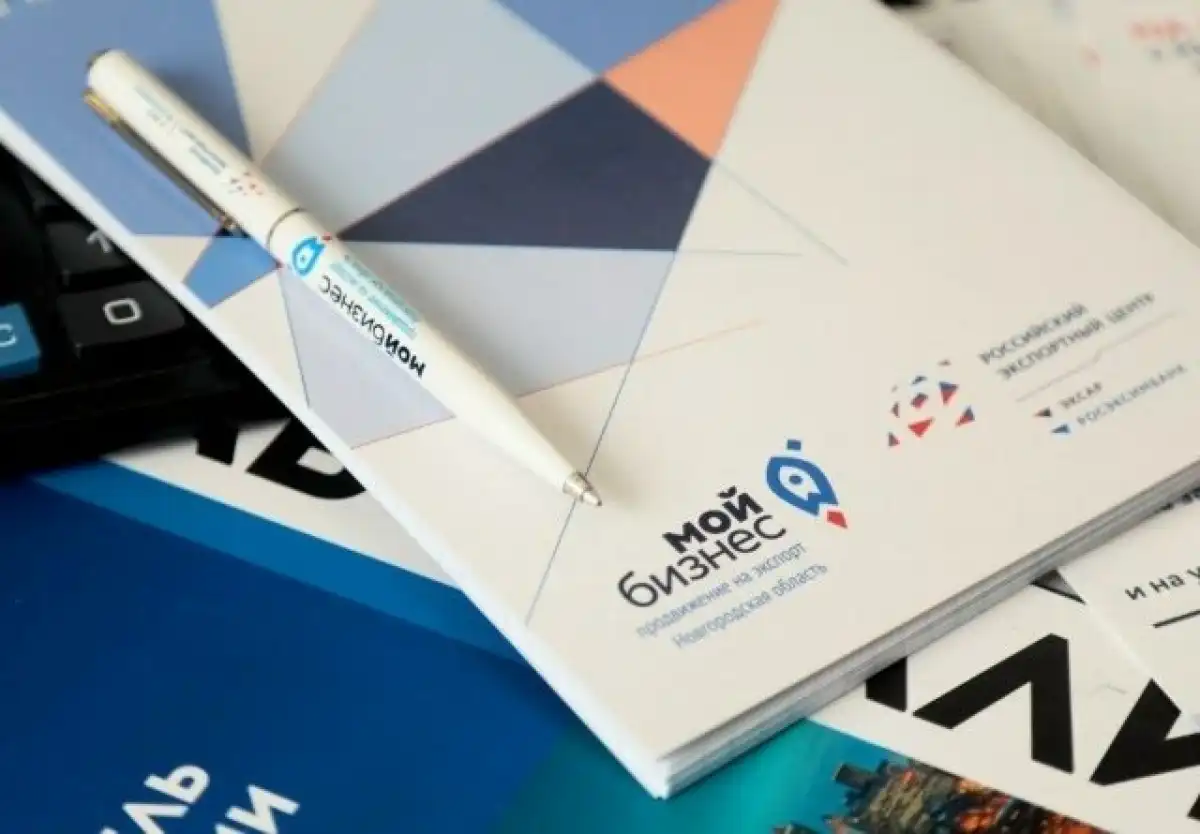 Для системной поддержки направления на базе Новгородского центра развития инноваций и промышленности уже создан Центр развития промышленной робототехники.