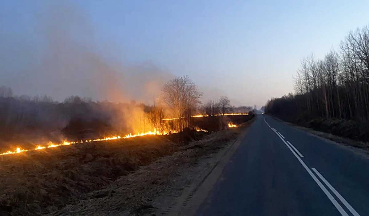 За минувшие сутки в Новгородской области произошло 15 возгораний